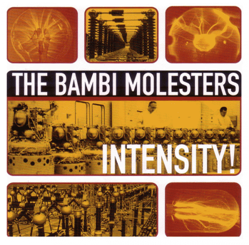 The Bambi Molesters : Intensity!